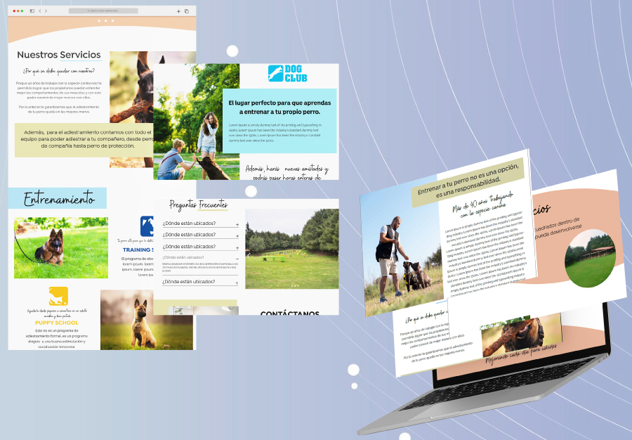 Proyecto UCAPSA UX/UI